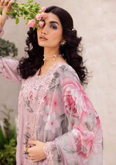 Iznik Pink Pure Lawn Print & Embroidery Collection 3pc