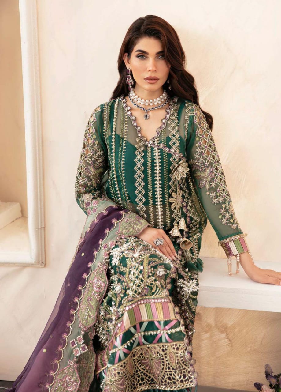 Elaf Luxury Handwork Heavy Embroidered Organza SC 1079