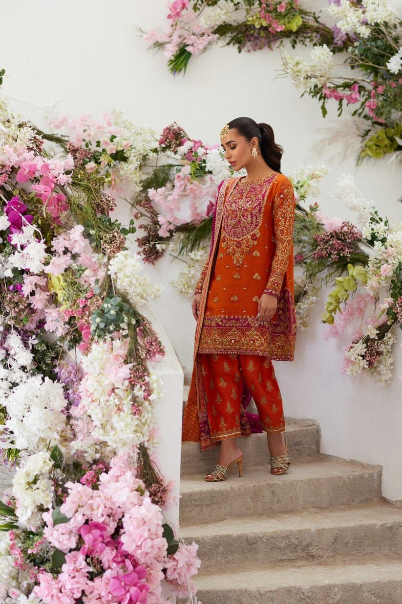 Mina Hasan Rust Hand Work Formal Collection New Arrival Chiffon SC 1202